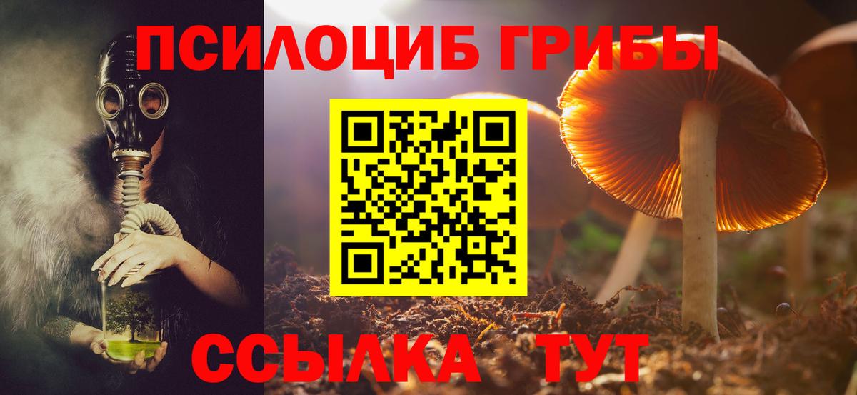 Псилоцибиновые грибы Psilocybe Карталы