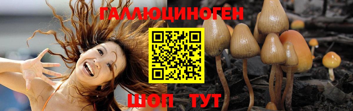 Карталы  купить   Галлюциногенные грибы мухоморы  Вход с VPN  Псилоцибиновые грибы Cubensis 